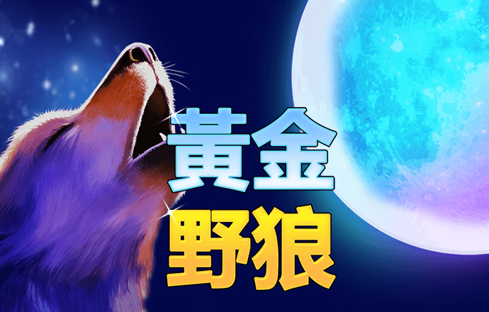 万博官网体育英超狼队